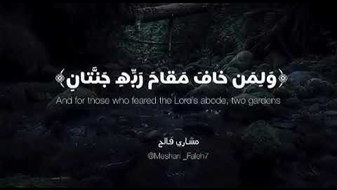 القارئ مشاري فالح تلاوة هادئة ♡ ارح قلبك 💙 حالات واتس اب { ستوريات قرآن }Quran status