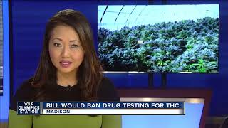 New bill would protect employees by forbidding drug testing for THC