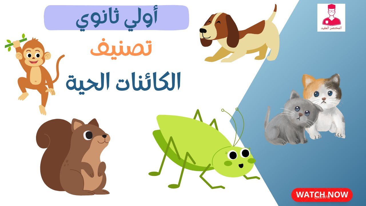 أسس تصنيف الكائنات الحية - احياء اولي ثانوي الترم الثاني 2024 - YouTube