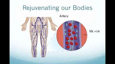 Sleep 1 - The Importance of Sleep