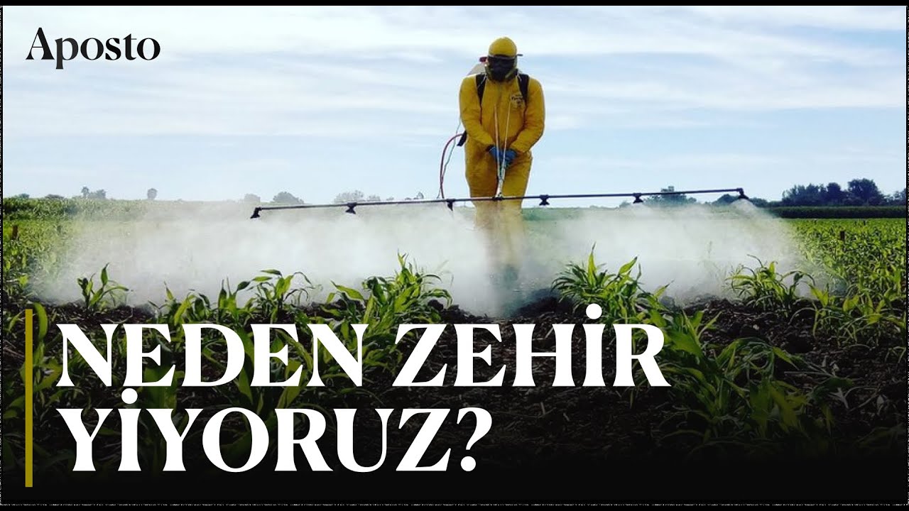 Türkiye'nin pestisit krizi: Üç gıdadan biri zehirli | Kuşbakışı