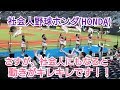 【Cheerleading】チアリーダー やはり、社会人になると色気があり、さらに動きがキレキレでした‼ 社会人野球 ホンダ HONDA