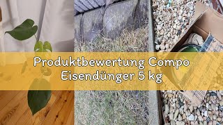 microgreens saatgut Premium Rucola Microgreens Samen Online Kaufen – Green-chief.eu