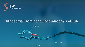 Understanding ADOA: How PYC-001 Targets the Disease