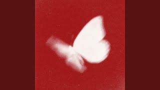 Butterfly 2026 - bradeazy & Crazy Town