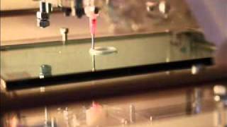 reprap paste extruder