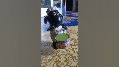 Shaun The Sheep Main Drum 🥁