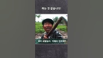 Thumbnail of 한국 고전짤방의 진실 #shorts