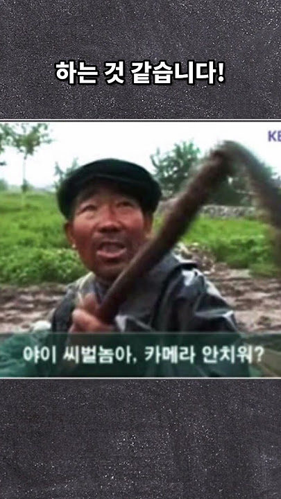 한국 고전짤방의 진실 #shorts