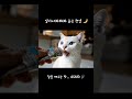 [ASMR] 햇살 속 츄르 한입, 아침을 여는 소리 ☀️🐱 #shorts