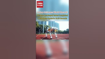 Chinese quadruped robot sets 100m sprint Guinness World Record