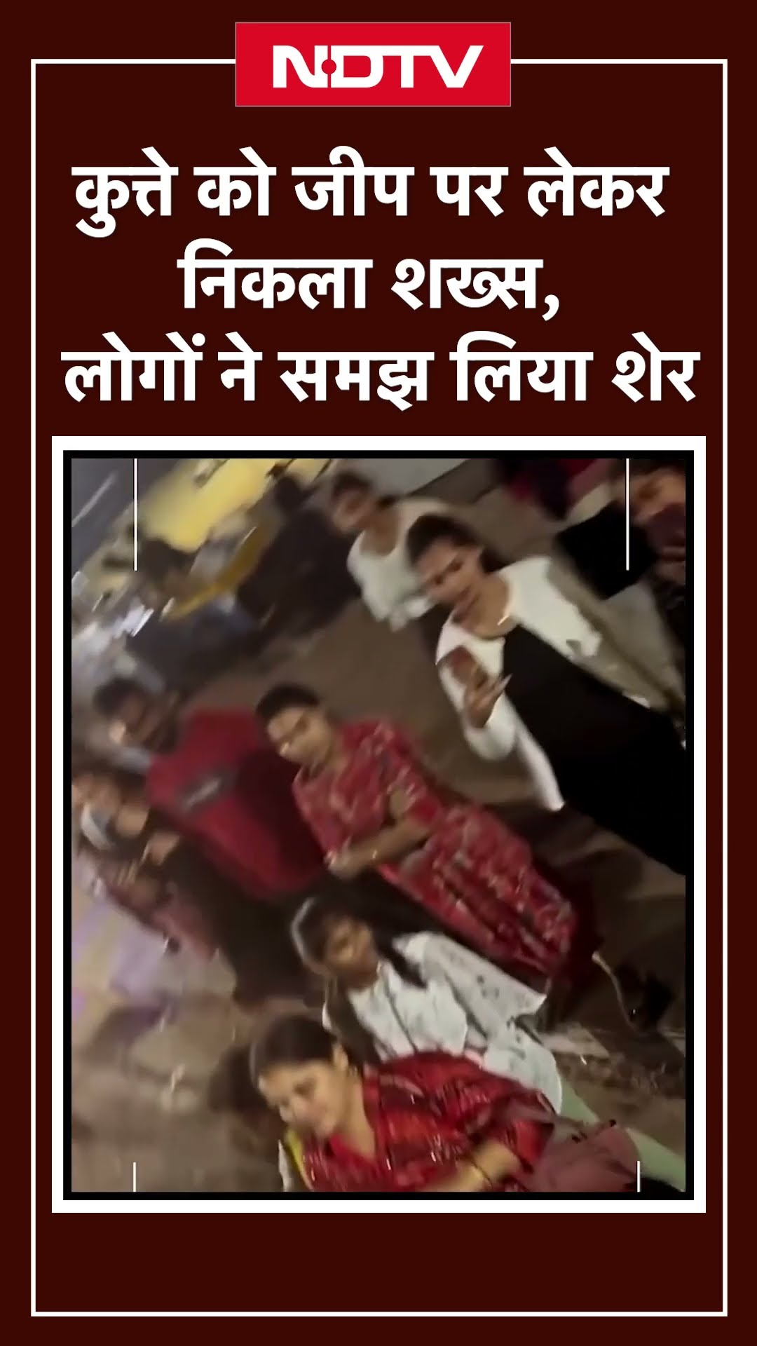 Viral Video: कुत्ते को जीप पर लेकर निकला शख्स, लोगों ने समझ लिया शेर | SHORTS