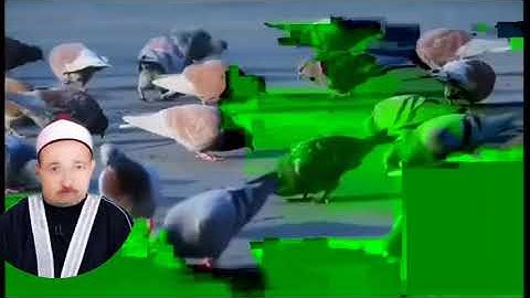 الشيخ حسن عبده فرحان البساتيني ربنا يرحمه التلاوات النادره سورة الأنعام كامله