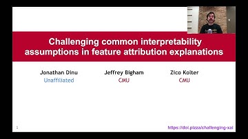 Challenging common interpretability assumptions in feature attribution explanations