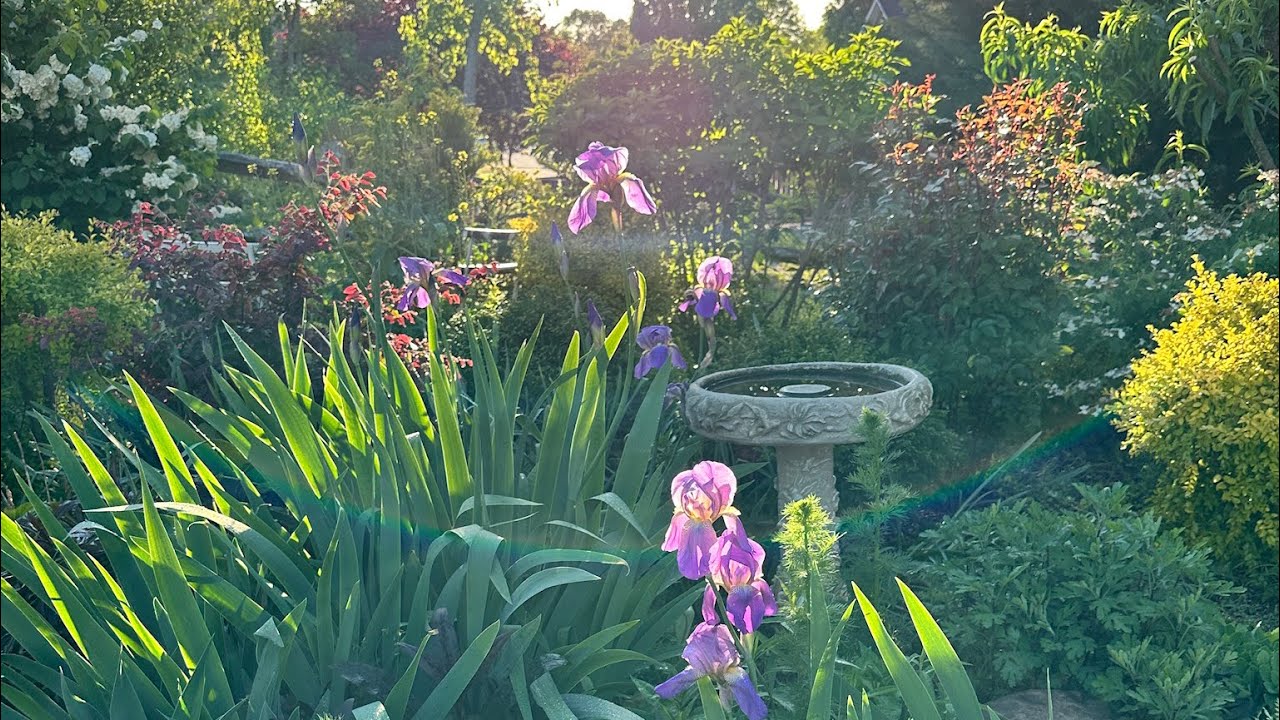 April Garden Tour 🌱 Garden Video Journal 🌱 Cottage Garden 🌱 - YouTube
