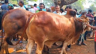 @আজ ১৯ জুন