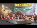 Tera kalam dyan gella yesu jan pa dendya blessed worship song by worshiper yermiya gill 2024