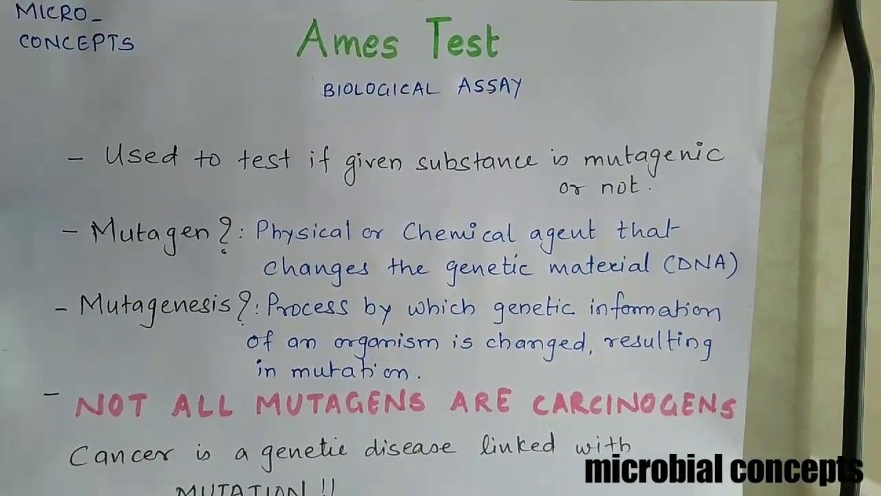 Ames test YouTube