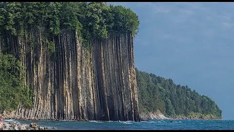 Уголь. Поваленные гигантские деревья