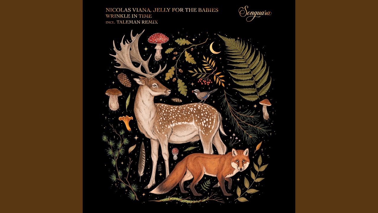 Wrinkle in Time (Extended Mix)