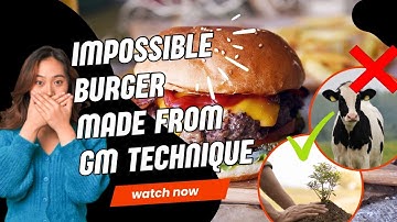 Impossible Burger - Plant-based burger patty with genetically engineered yeast to produce heme.