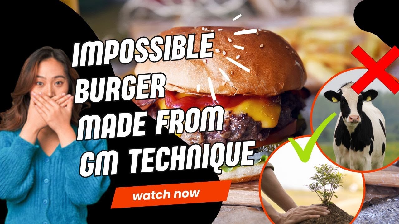Impossible Burger Plantbased burger patty with