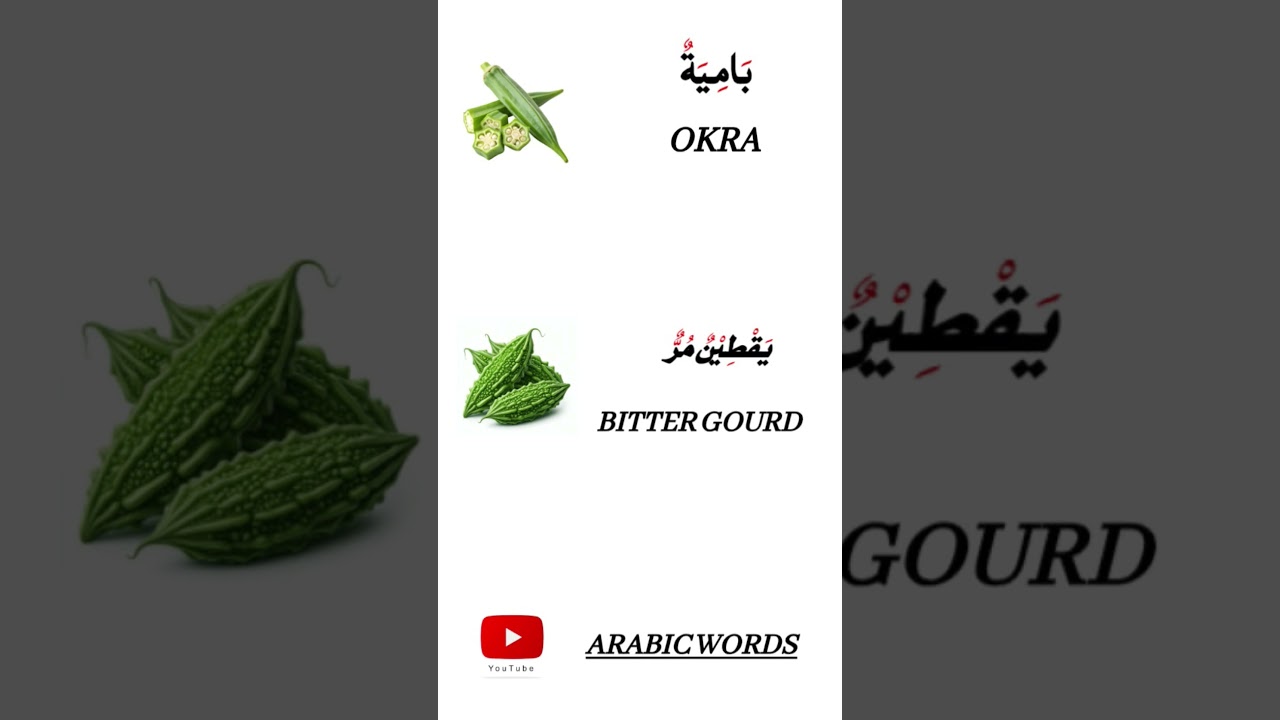Arabic and English words#okra#bittergourd#vocabulary#arabic#english#words#beginners#fyp#explore#new