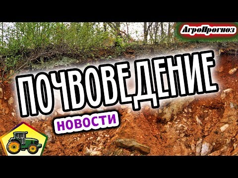 Новости почвоведения — Декада почв, значок почвы, педометрика