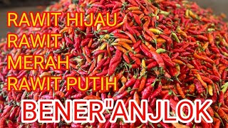 Download Lagu HARI INI RAWIT HIJAU/MERAH/PUTIH HANCUR HARGANYA.. MP3 Download Lagu HARI INI RAWIT HIJAU/MERAH/PUTIH HANCUR HARGANYA.. MP3