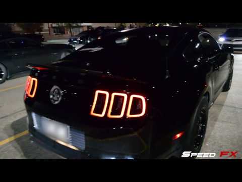 800HP GT500 Calls Out HellCats?!