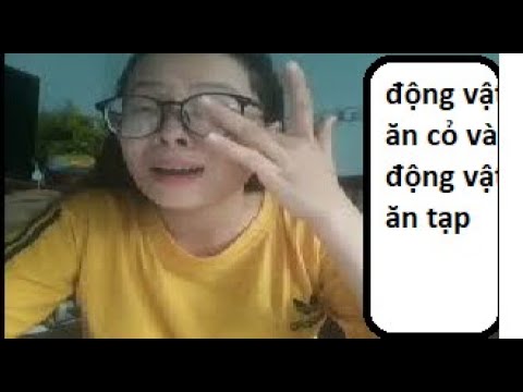 Video: Cách Phân Biệt động Vật ăn Thịt Với động Vật ăn Cỏ Qua Ngoại Hình