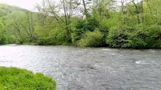 Весенняя река - шум воды - пение птиц