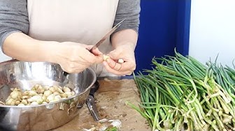 쪽파머리로락교만들기 - Youtube