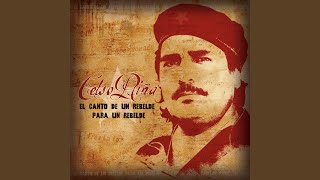 Video thumbnail of "Celso Piña - El Porro Magangueleño"