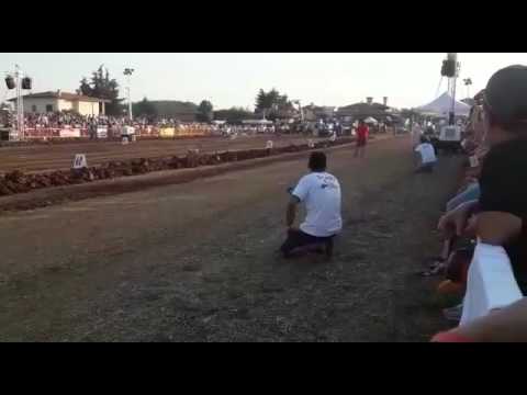 camera iphone 8 plus apk Tractor pulling Bicinicco 2017 toro blu@qualifica