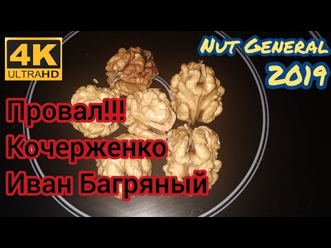 Кочерженко, Иван Багряный и Идеал не оправдал НАДЕЖД в Чернигове!