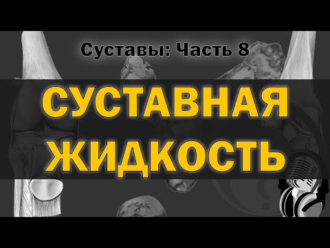 Суставная жидкость [S05E08]