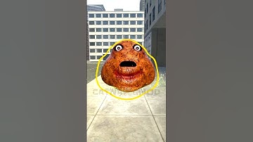CAN YOU CATCH ? POU BOU