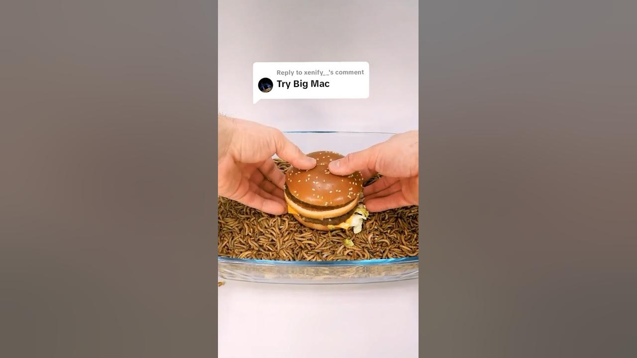 Kurtçuk Mealworms vs Big Mac Menü McDonalds mealworms bigmac 