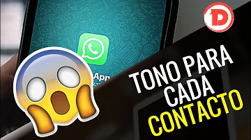 ¿Cómo cambiar notificaciones de un contacto?