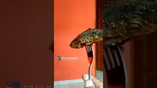 Download Lagu INTRO INDOSIAR😂😂😂 MP3