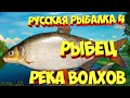 русская рыбалка 4 - Рыбец река Волхов - рр4 фарм Алексей Майоров