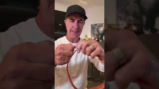 Hide that Flea Collar - quick tip! #dogs #doglove #doglife