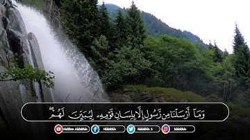 فواتح سورة إبراهيم || القارئ هيثم الدخين