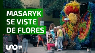 Piden no llevarse las flores que decoran Masaryk en festival.