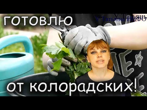 Вопрос: Как приучить домашнюю птицу есть колорадского жука?