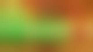 V251015MC16Z01LexAJC01