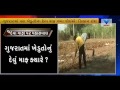 Farmers debt should be forgiven in gujarat kisan sangh  vtv news