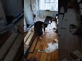 How to Install Herringbone Laminate Flooring