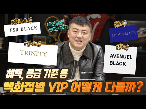 드디어 등장하는 빈플의 큰손 VVIP가 직접 알려주는 백화점별 VIP 비교 혜택 